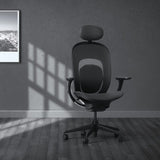 Yuemi YMI high back ergonomic chair (black)